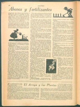 El arroyo y las plantas