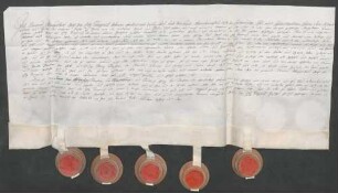 Instrumentum probationis des Grafen Clemens Wenzeslaus von Eltz-Kempenich.