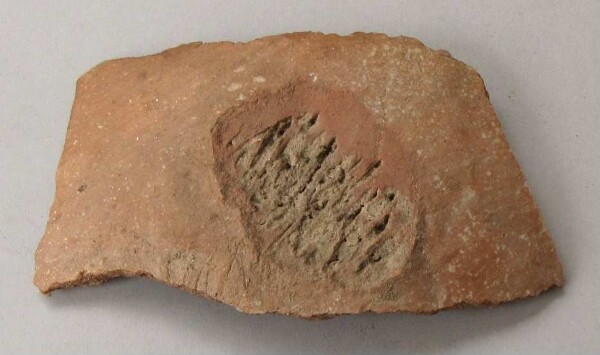 Clay amphora (fragment)