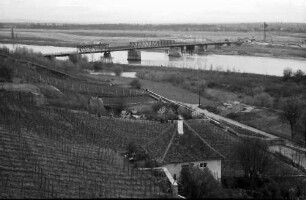 Breisach: Blick vom Eckartsberg auf Rheinbrücke, Vordergrund Rebhang