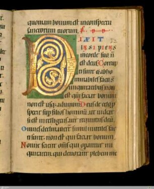 Rankeninitiale "D" (Ps. 52)