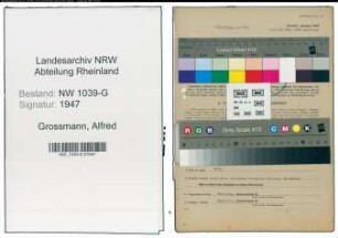 Entnazifizierung Alfred Grossmann , geb. 04.04.1914 (Beamter)
