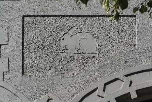 Hase