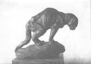 Das Alter (Alte Katze)