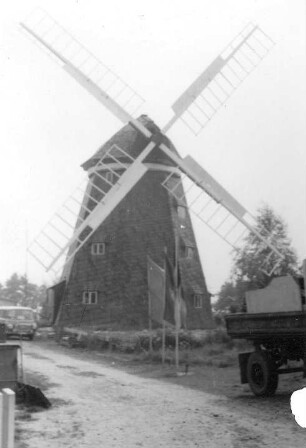 Insel Usedom (Landschaft). Holländermühle