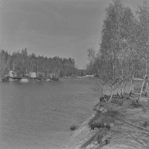 Waldsee Biehain : Blick über den Waldsee Biehain