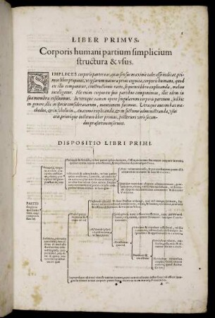 Liber Primus. Corporis humani partium simplicium structura & usus.