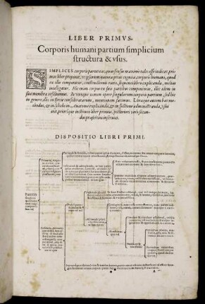 Liber Primus. Corporis humani partium simplicium structura & usus.