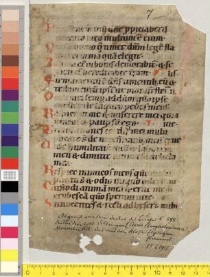 Psalterium - Studienbibliothek Dillingen XV Fragm. 7