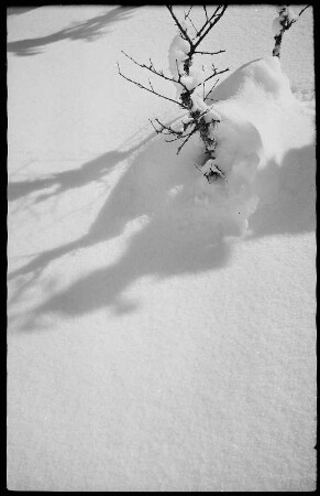 Winterlandschaft, Schatten eines Strauches im Schnee