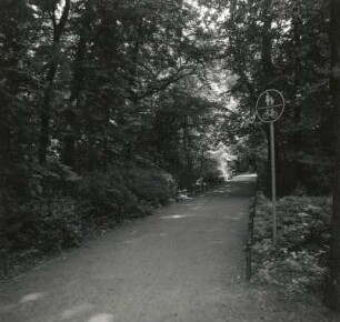 Lübben (Spreewald). Parkanlage "Hain". Parkweg. Ansicht von Südwesten