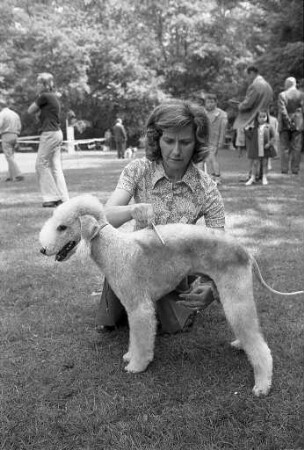 Sonderschau des Club der Terrier e.V. Ortsgruppe Karlsruhe-Pforzheim auf dem Gelände des Verein der Hundefreunde e.V. Karlsruhe an der Theodor-Heuss-Allee