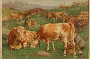 Rind auf der Alm