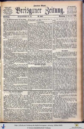 01.11.1896 (Zweites Blatt)