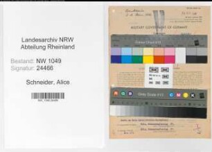 Entnazifizierung Alice Schneider , geb. 27.01.1899 (Sekretaerin)