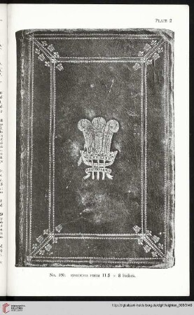 Plate 2-13