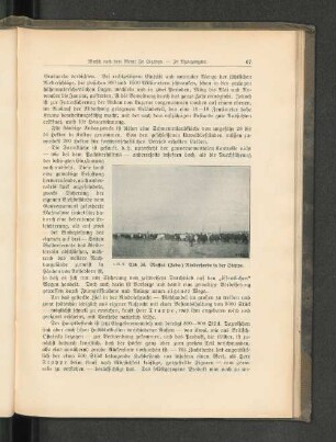 Abb. 36. Massai- (Zebu-) Rinderherde in der Steppe.