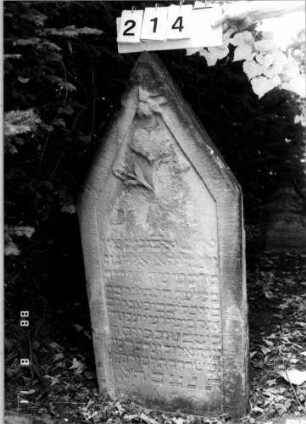 Grabstein 214