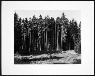 Foto, Rheinland-Pfalz
