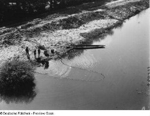 Leipzig-Schleußig. Rödel (Altarm der Weißen Elster). Abfischen während der Zuschüttung