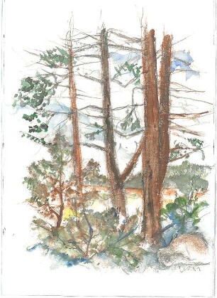 Gsaenger, Gustav; Landschafts - und Gebäudestudien - Waldlandschaft (Studie)
