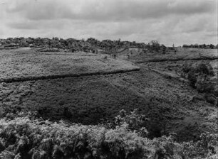 Hügellandschaft : Blick über eine Hügellandschaft in Kenia