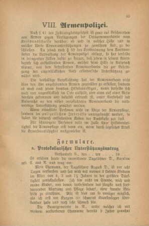 VIII. Armenpolizei