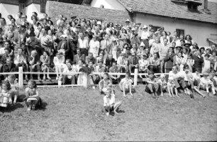 Predal: Rumänische-Leichtathletik Meisterschaften, Publikum