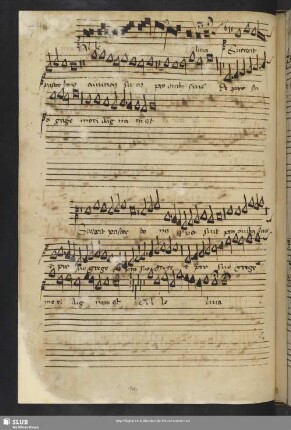 [Anon.:] Alleluia surrexit