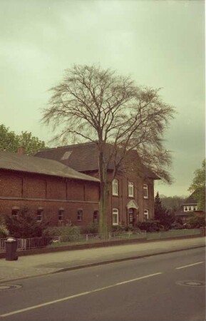 Willinghusener Landstraße: Bauernhaus: Wohngebäude mit Eingangsportal, Frontispiz: links traufständiges Wirtschaftsgebäude: davor Vorgarten, Baum