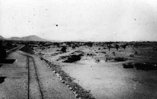Namib bei Station Dorstrevier