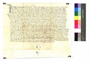 Kaspar von Wernau zu Bach belehnt den Jörg Dimelin zu Grimmelfingen mit einer Erbsölde.