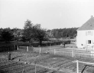 Blick auf Vorgärten