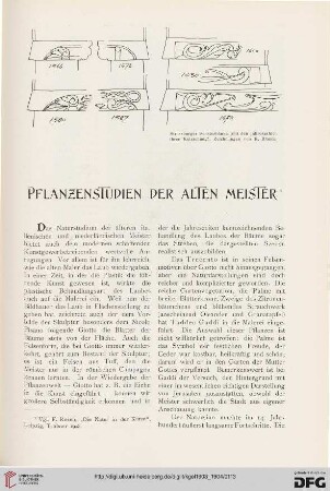 Pflanzenstudien der Alten Meister