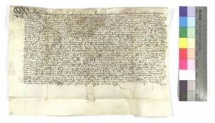 Lehenbrief des Klosters Wiblingen für Martin Beckh über eine Sölde zu Donaustetten