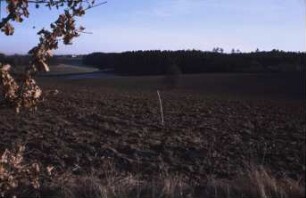 Fotografie: Bodenbearbeitung, Wendende Bodenbearbeitung