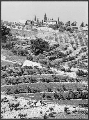 Landschaft bei San Gimignano