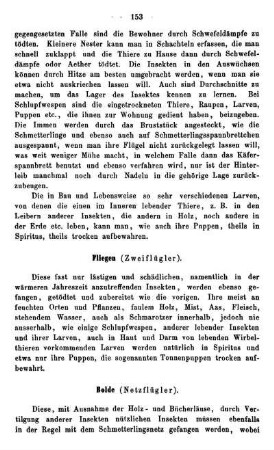 Fliegen (Zweiflügler).