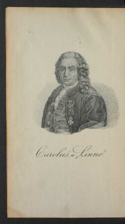 Portrait Carolus a Linné.