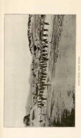 Modern-drilled Korean infantry