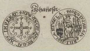 Bildnis von Johann III. Ohnegnade von Straubing-Holland