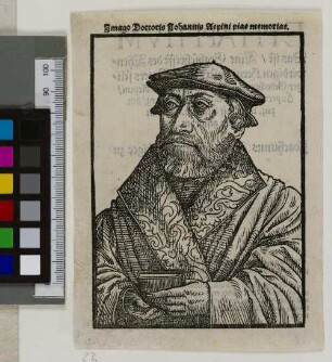 Imago Doctoris Johannis Aepini piae memoriae