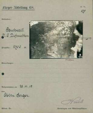 Foto des Buchwaldes nordöstlich von Diefmatten (Luftbild)