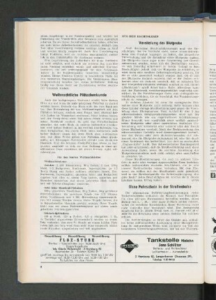 Weihnachtliche Plätzchenkunde
