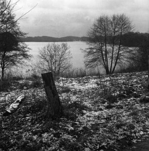 Hoisdorfer Teiche: Naturschutzgebiet: vorn Grünfläche mit Baumstumpf und Büschen: am gegenüberliegenden Ufer Wald: Winter