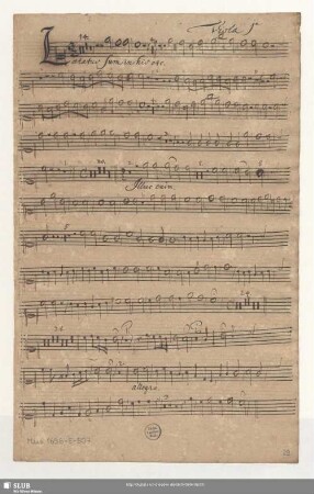 Viola 1[m]a