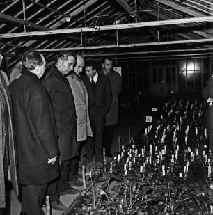 Wulfsdorf: Max-Planck-Institut für Kulturpflanzenzüchtung: Besuch des Magistrats: Besichtigung von Zuchtpflanzen im Treibhaus