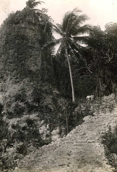 "Paysage des environs de Papeete, Tahiti"