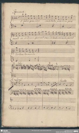 In amore Jesu amati