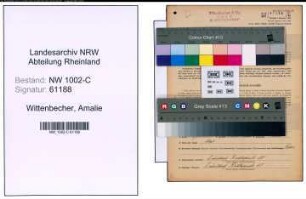 Entnazifizierung Amalie Wittenbecher, geb. 07.04.1900 (Kauffrau)